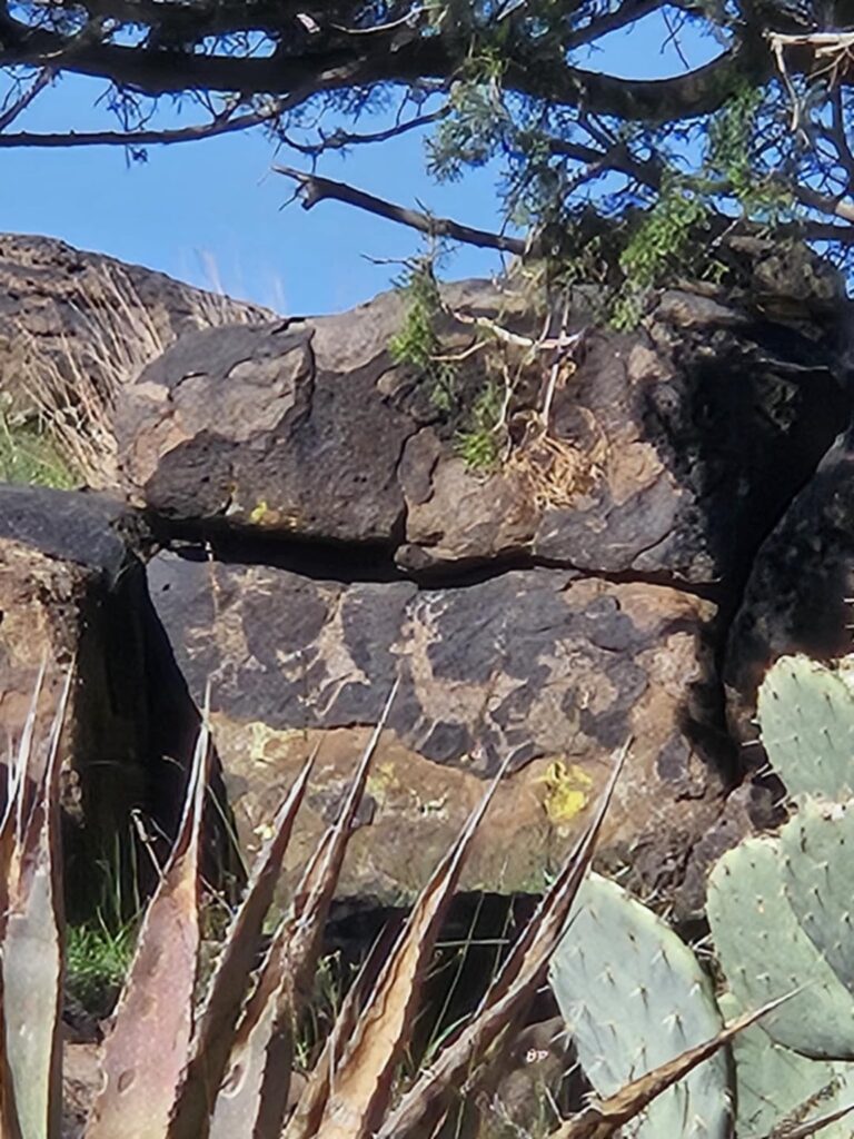 Letztes Jahr bin ich auf der Jagd auf Petroglyphen gestoßen und habe den Tag damit verbracht, sie zu erkunden Letztes Jahr bin ich auf der Jagd auf Petroglyphen gestoßen und habe den Tag damit verbracht, sie zu erkunden