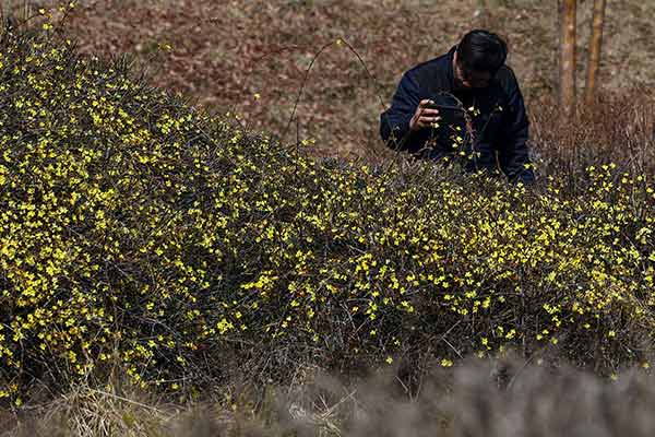 KMA: Prognose für bewölkten Himmel für Sonntag, auf der Insel Jeju wird es ab dem Nachmittag regnen