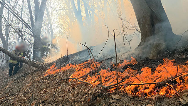Regierung kündigt Sondermaßnahmen zur Eindämmung von Waldbränden an