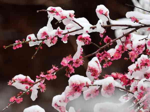 Ab Donnerstag wird in den meisten Teilen mit Regen oder Schnee gerechnet. Nacht