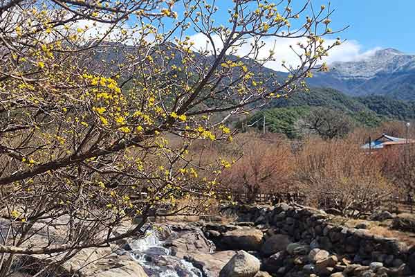 Nation wird am Samstag klaren Himmel sehen 