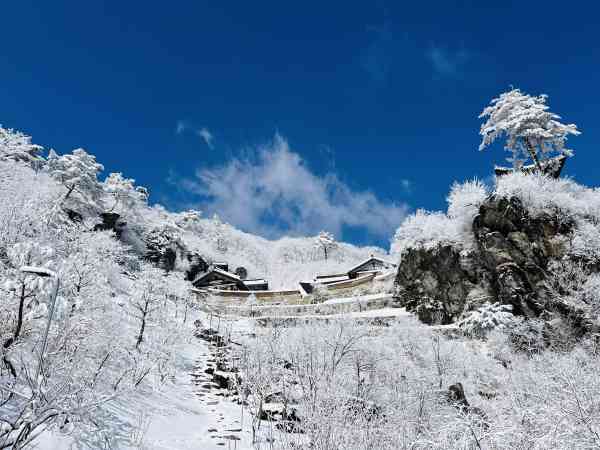 Dichter Nebel wird am Dienstagmorgen im Südwesten erwartet