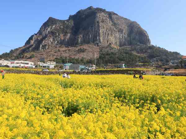 „Schlechte“ Feinstaubwerte in Seoul, Provinz Gangwon, am Mittwoch