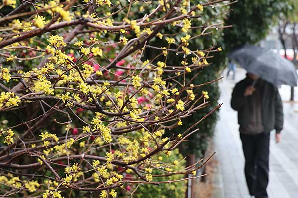 Frühlingsregenvorhersage für die meisten Teile der Nation Mi.