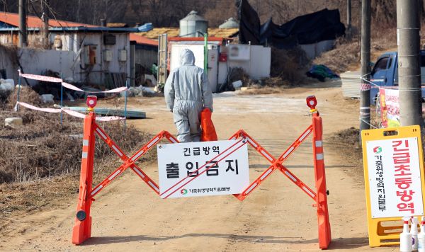 Regierung verschärft Quarantäne, nachdem in Schweinefutterzutaten Gene des Virus der Afrikanischen Schweinepest entdeckt wurden