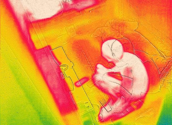 Südkorea führt diesen Sommer eine „Warnung vor extremer Hitze“ ein