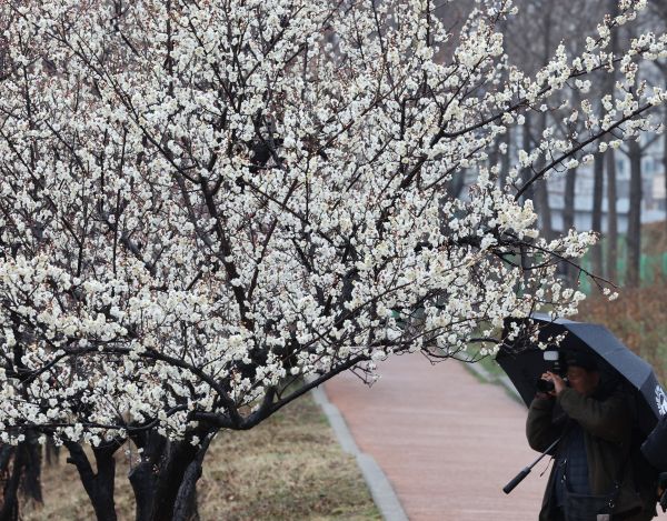 Am Donnerstag wird in den meisten Teilen des Landes bewölkter Himmel erwartet