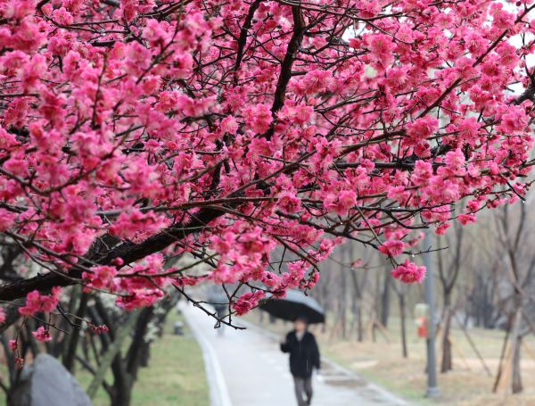 In den meisten Teilen des Landes wird es bis Dienstagmorgen regnen