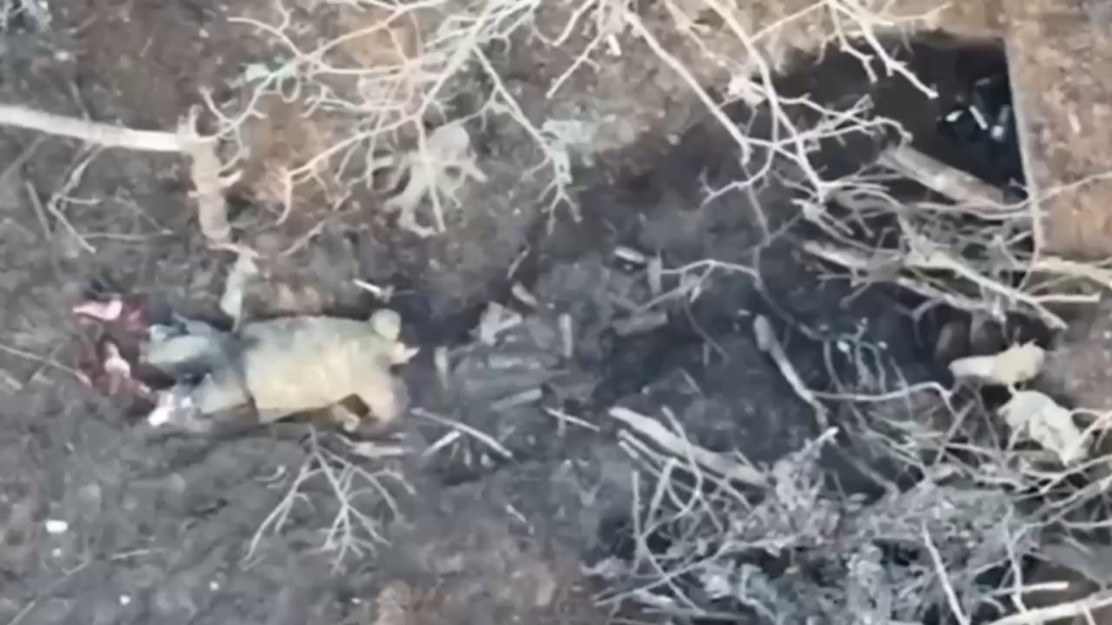 Ein beinloser russischer Eindringling kroch auf eine nicht explodierte ukrainische FPV-Drohne zu