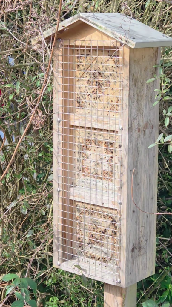 Gewimmel am Insektenhotel