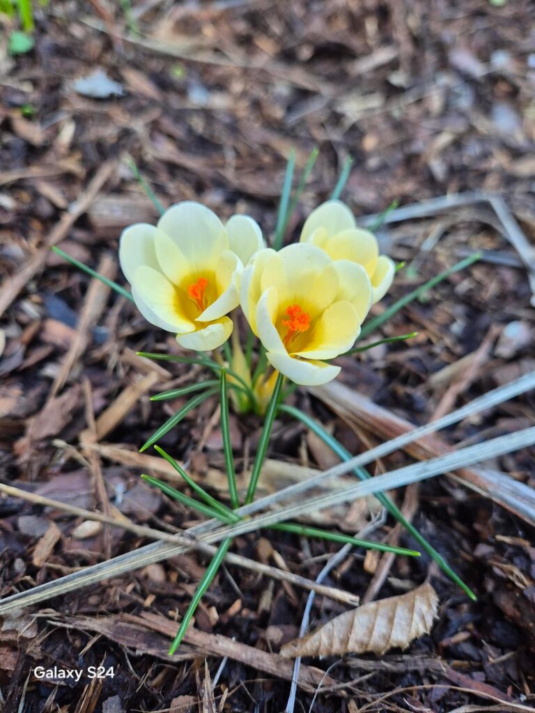 Frühlingseindrücke