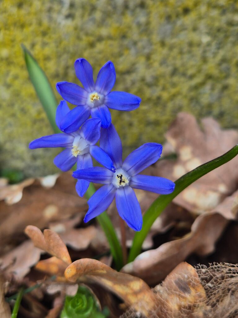 Ist der Frühling nicht wunderbar..? 🥰