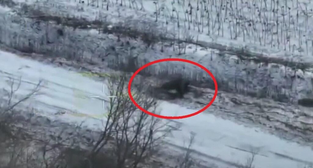 Ukrainische Fallschirmjäger töten zwei russische Bataillonskommandanten während der Gegenoffensive in Saporischschja