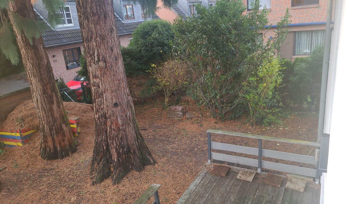 Mammutbäume im Garten Mammutbäume im Garten