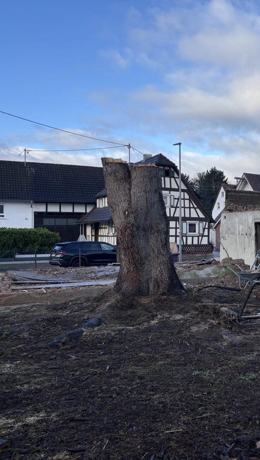 Baumstumpf entfernen