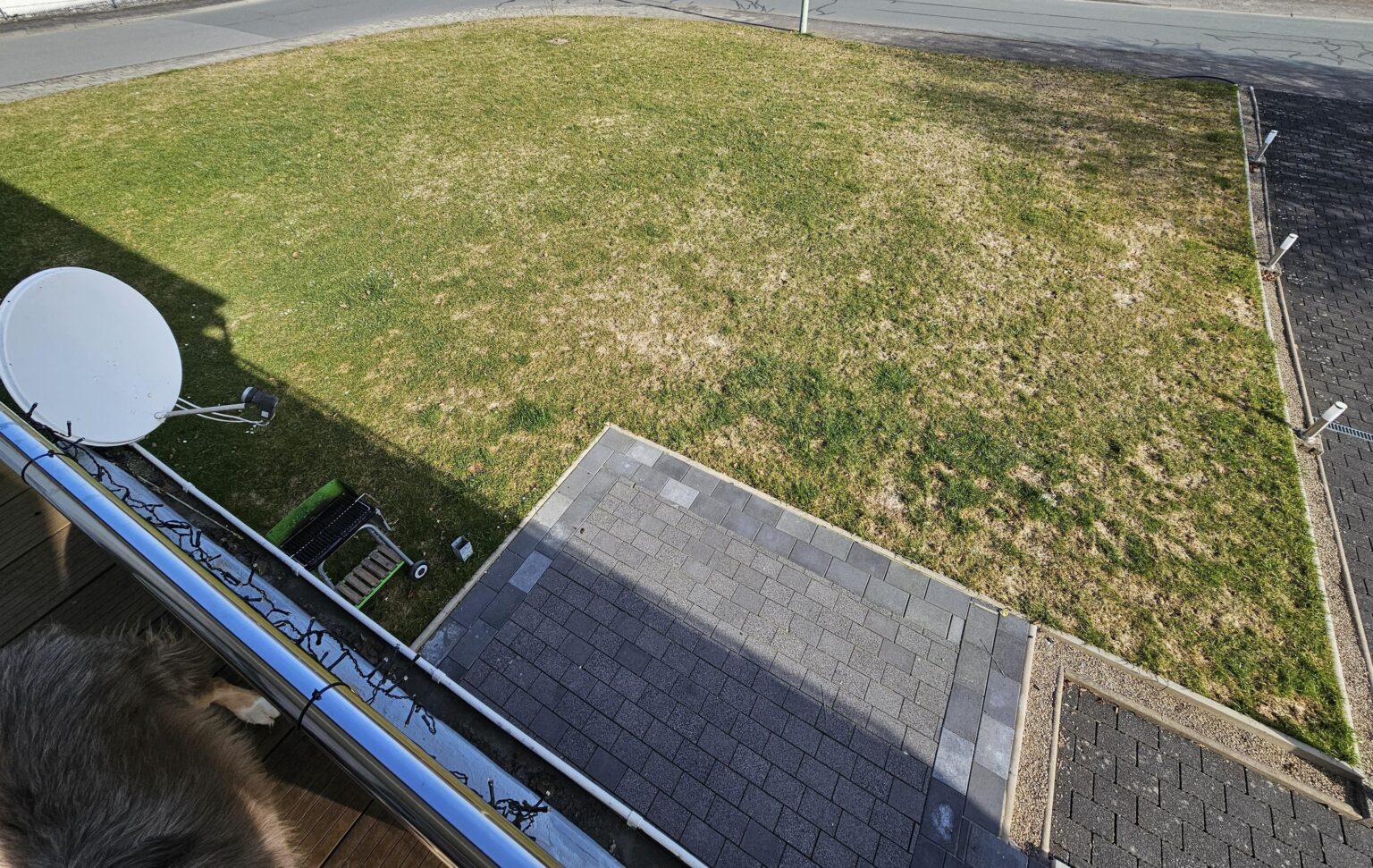 Garten gestalten, was würdet ihr wie pflanzen?
