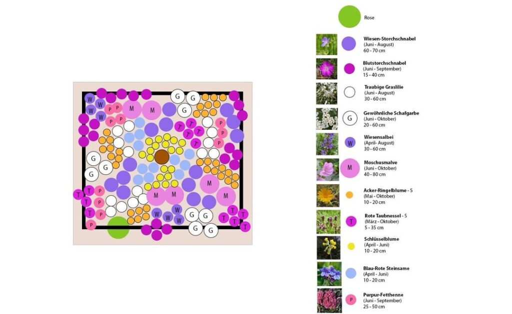 Naturnahes Baumbeet für Stadtbaum – Pflanzplan Naturnahes Baumbeet für Stadtbaum - Pflanzplan
