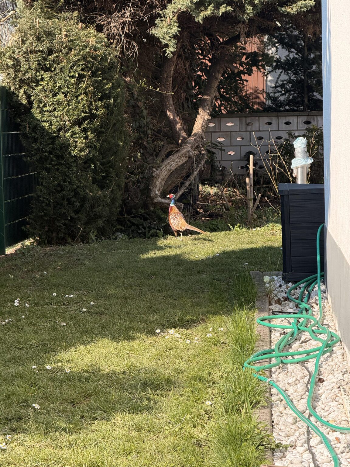 Hoher Besuch