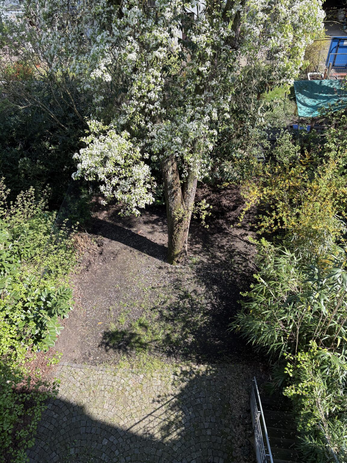 Schwieriger Garten Nord/Ost Ausrichtung