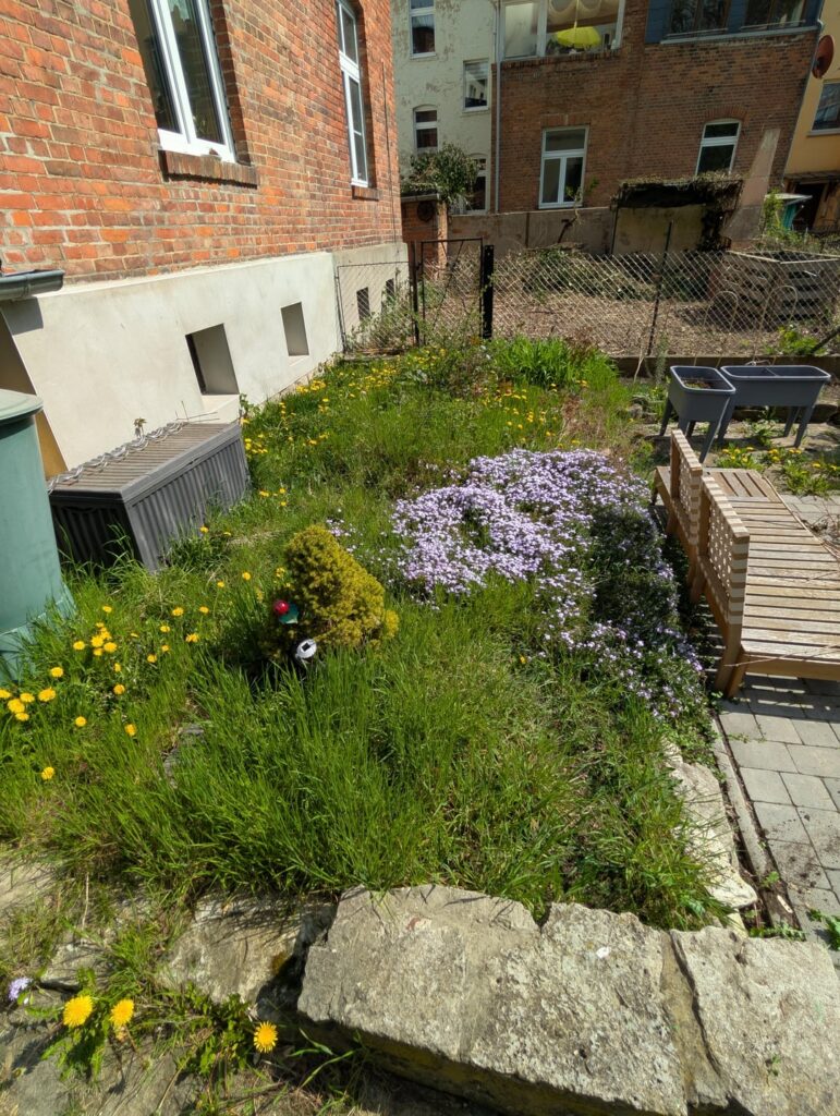 Wie gehe ich mit diesem Stück Garten um? Wie gehe ich mit diesem Stück Garten um?
