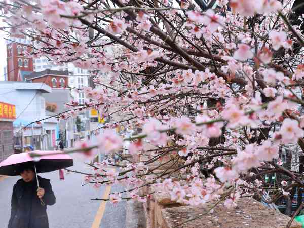 Am Sonntag klart der Himmel auf, am Montag soll es wieder regnen