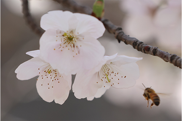 Große Temperaturschwankungen werden am Freitag erwartet