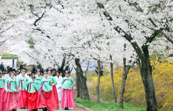 Dichter Nebel wird am Donnerstag in den Provinzen Gangwon, Chungcheong und Jeolla erwartet 