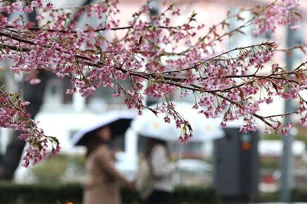 Regenwetter breitet sich am Samstag aus, bevor es am Sonntag zu sonnigem Himmel kommt