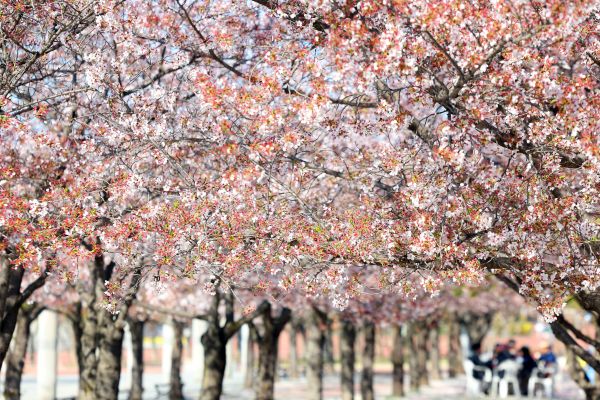 Gebiete im Landesinneren erleben am Mittwoch einen weiteren eiskalten Morgen