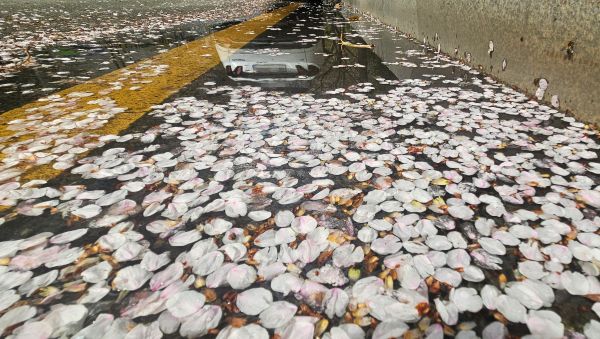 Nation erlebt am Samstag warmes Frühlingswetter. Einige Teile sind Feinstaub ausgesetzt