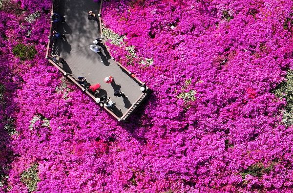 In der südlichen Region wird es am Donnerstag regnen, mit großen Temperaturschwankungen in den zentralen Binnenregionen