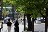 Sonniger Himmel in der Zentralregion, Schauer im Süden erwartet 