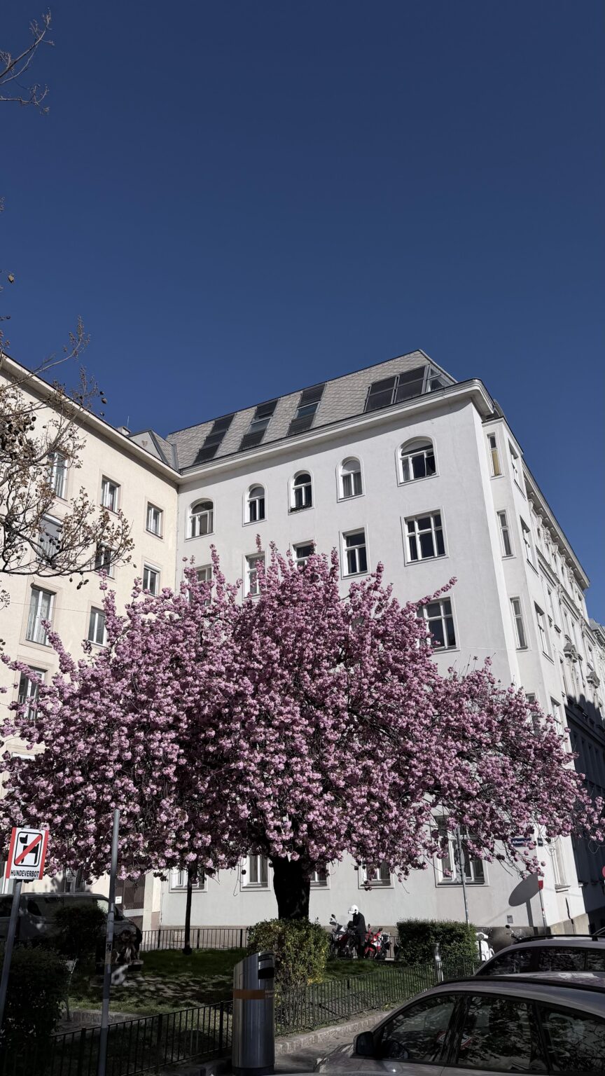 Endlich Frühling! 🌸