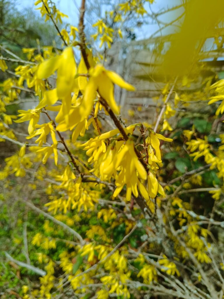 Start ins Oster-Wochenende