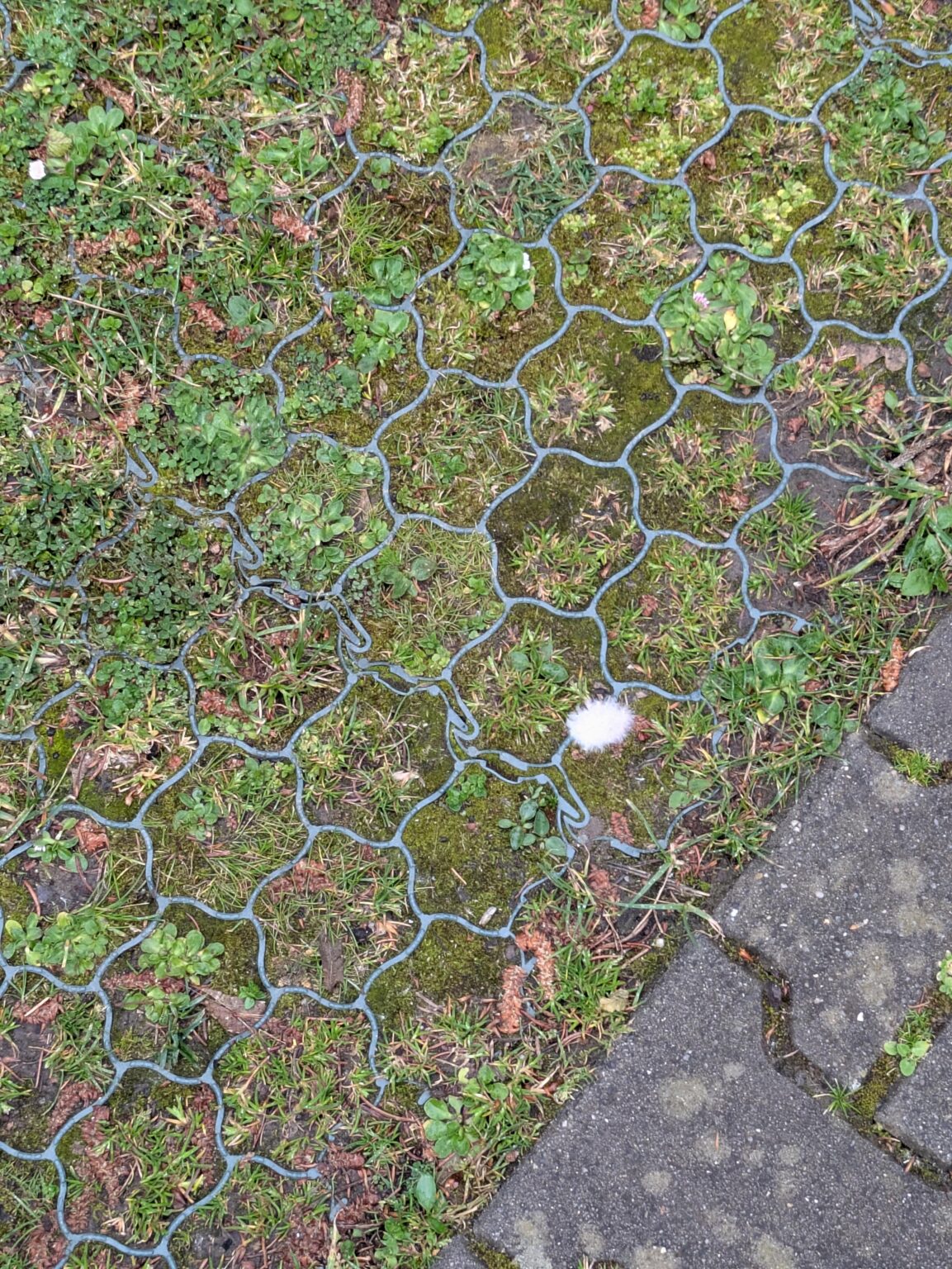 Wo bekomme ich solche Netze für den Rasen?