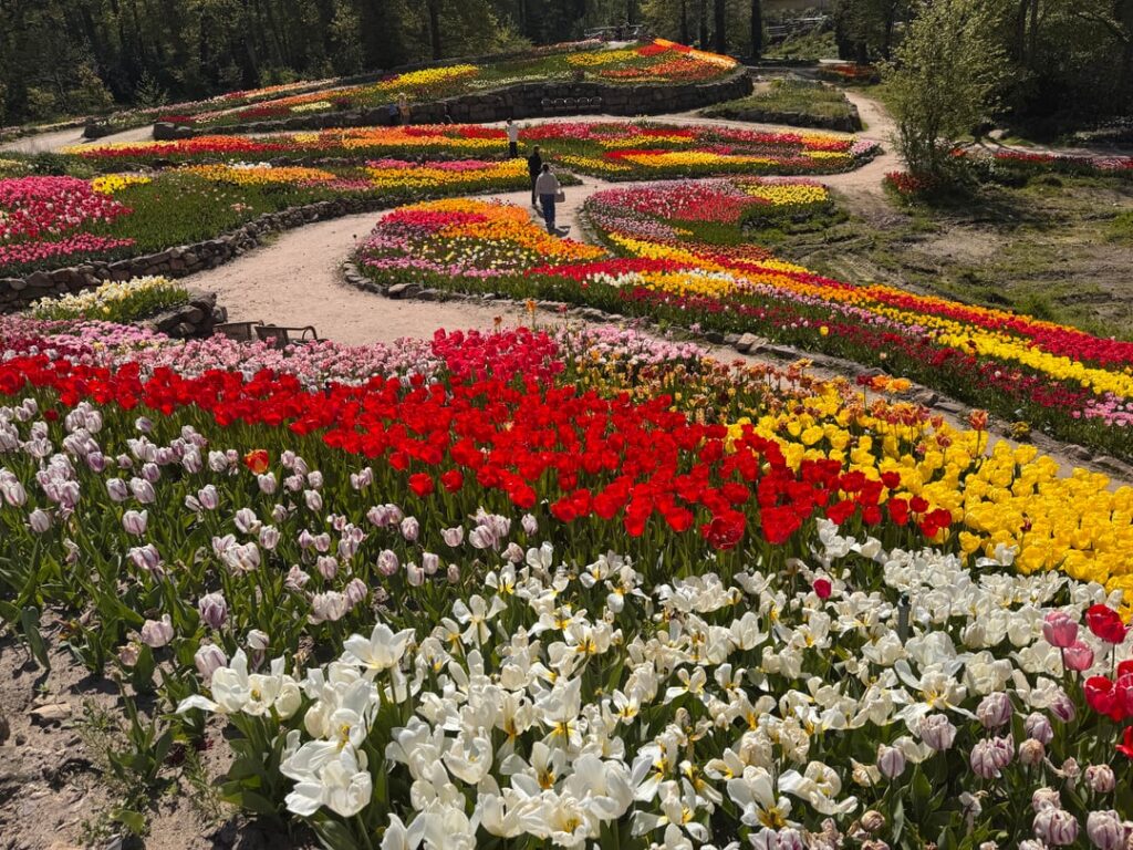 Blütenpracht in Naturagart, Ibbenbüren