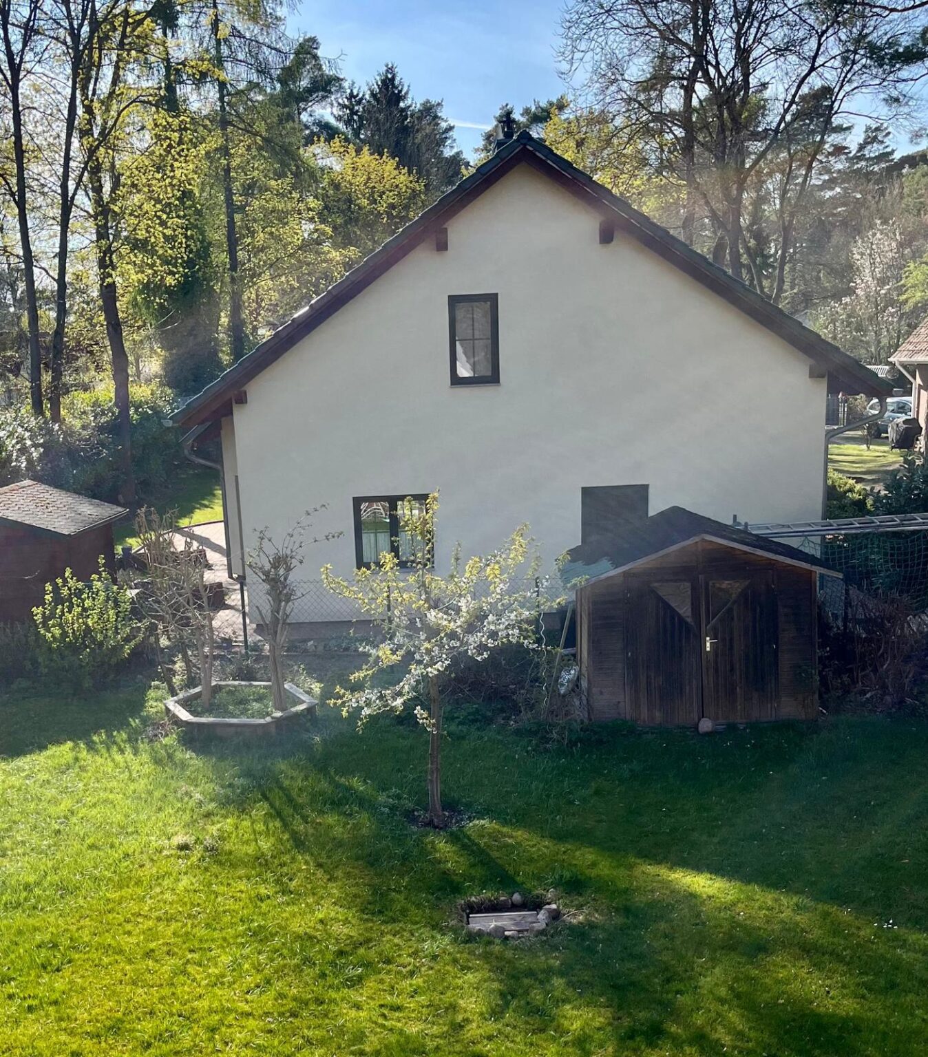 Blüten nur auf einer Seite