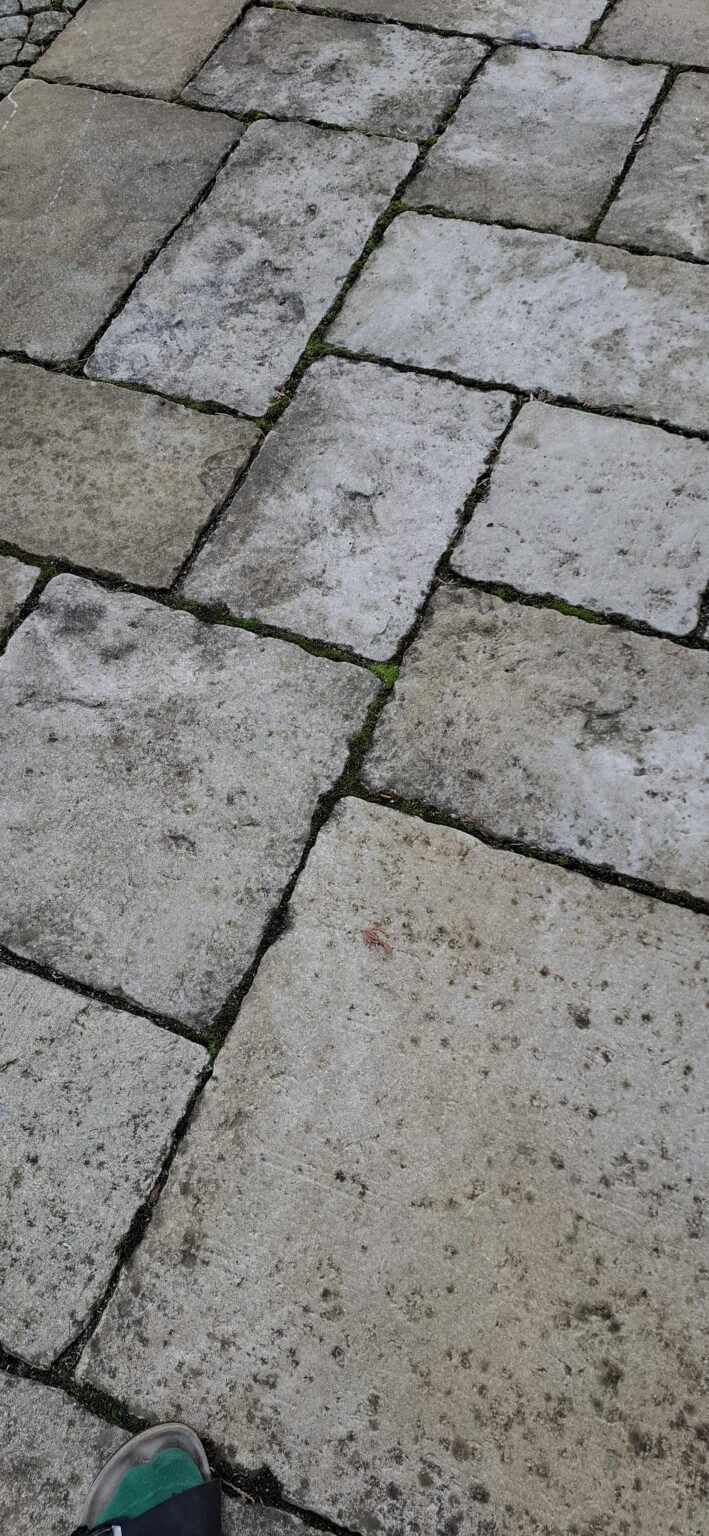 Terrassenfugen versiegeln