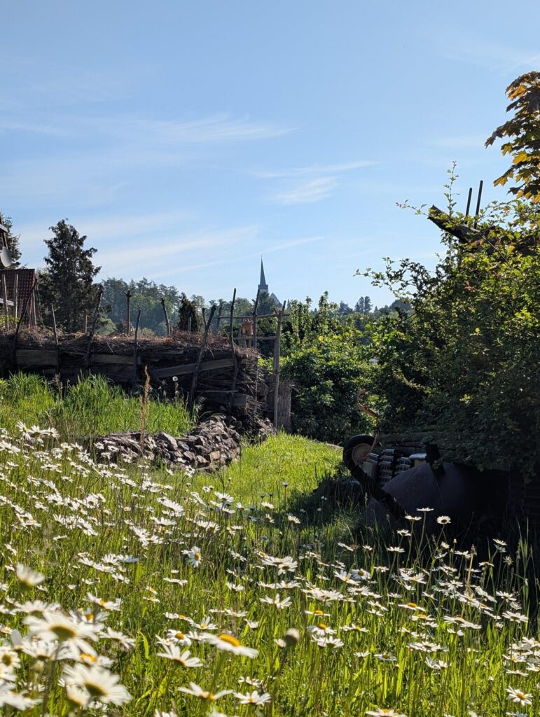 Die Natur einfach machen lassen