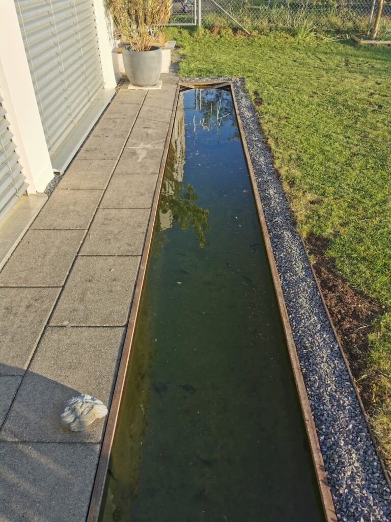 Wie kann ich diesen Teich natürlicher, biodiverser und schöner machen? Wie kann ich diesen Teich natürlicher, biodiverser und schöner machen?