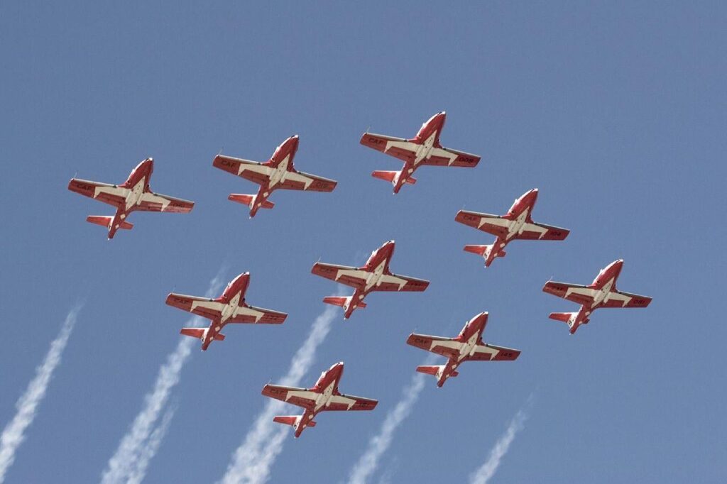 Die bald gesperrten Snowbirds versprechen, die Saison 2026 zu ihrer bisher besten und traumatischsten für Hunde zu machen