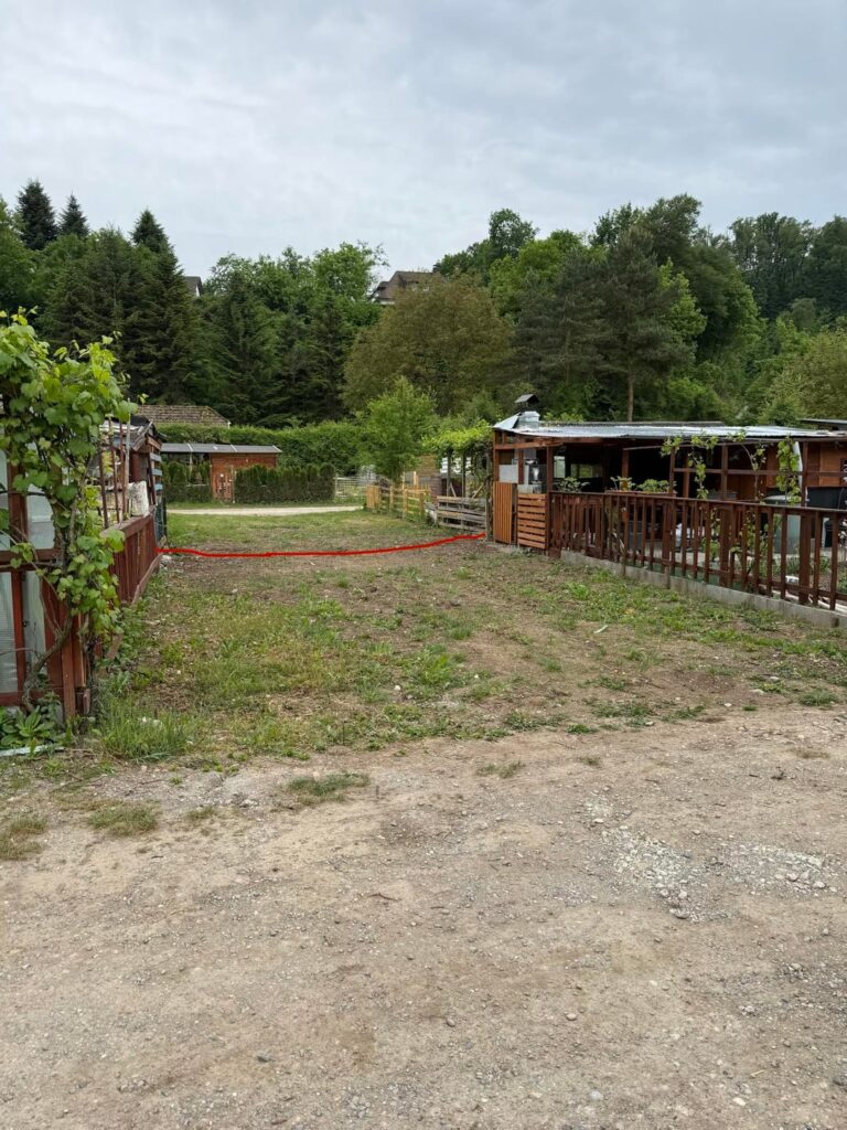 UPDATE – Erster Schrebergarten UPDATE - Erster Schrebergarten