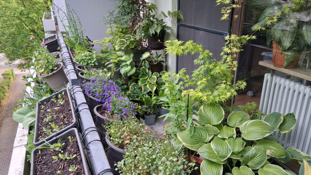 Genug grün am Balkon?