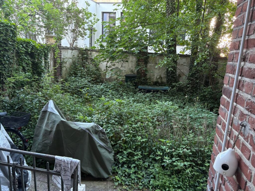 Die grüne Hölle: wo & wie anfangen? Die grüne Hölle: wo & wie anfangen?