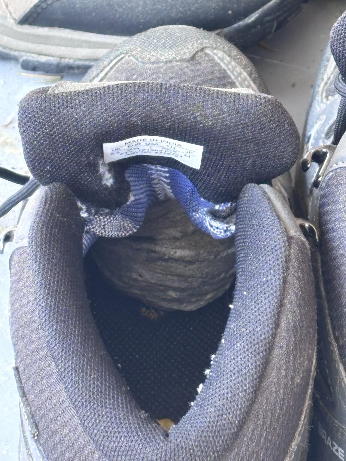 Wespennest im Schuh