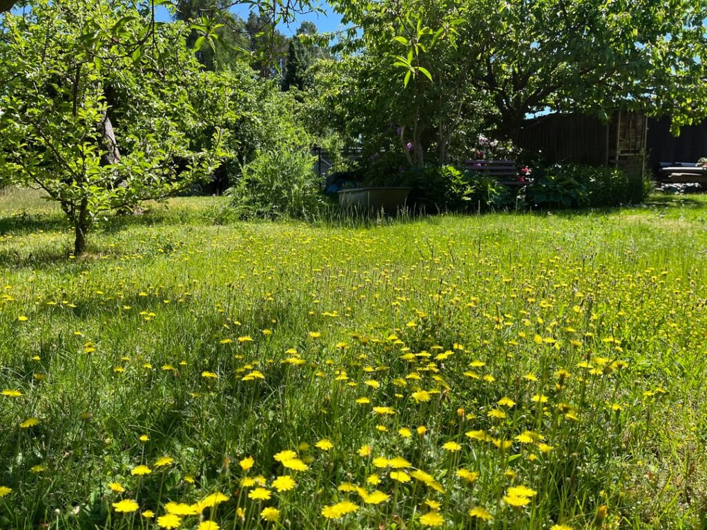 Ein Tag im Garten Ein Tag im Garten
