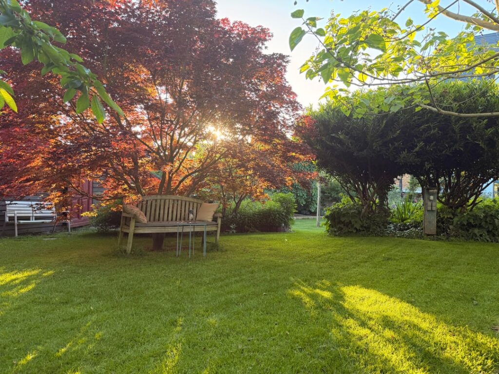 Die Gartensituation