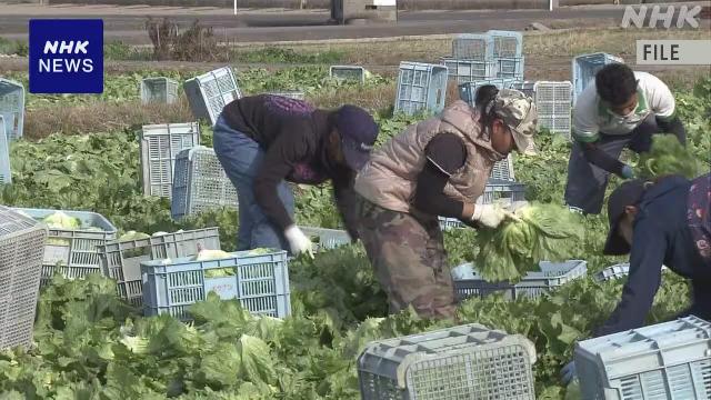 Japans Präfekturen geben Milliarden Yen aus, um ausländische Arbeitskräfte anzulocken. Zu den Programmen gehören Jobmessen und finanzielle Unterstützung für Japanischunterricht und Haushaltsgeräte. Einige Präfekturen bieten in der Hoffnung auf zukünftige Rekrutierungen finanzielle Unterstützung für internationale Studierende an. Japans Präfekturen geben Milliarden Yen aus, um ausländische Arbeitskräfte anzulocken. Zu den Programmen gehören Jobmessen und finanzielle Unterstützung für Japanischunterricht und Haushaltsgeräte. Einige Präfekturen bieten in der Hoffnung auf zukünftige Rekrutierungen finanzielle Unterstützung für internationale Studierende an.