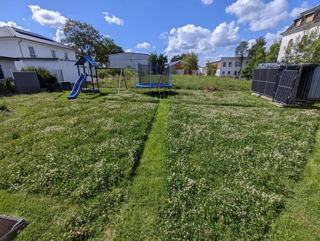No Mow May