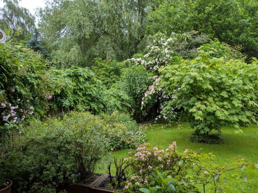 ich habs gerne grün ich habs gerne grün
